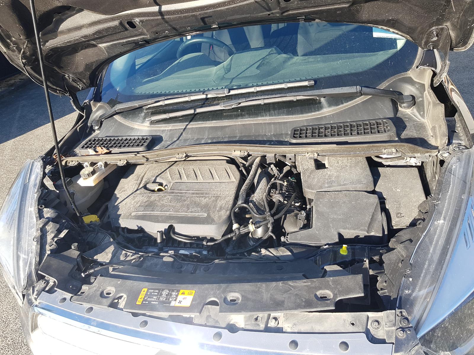 Ford Escape - LF 2007-Present