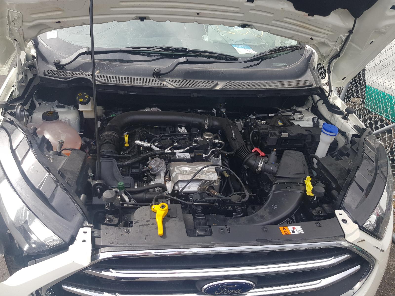 Ford EcoSport - BW 2013-present