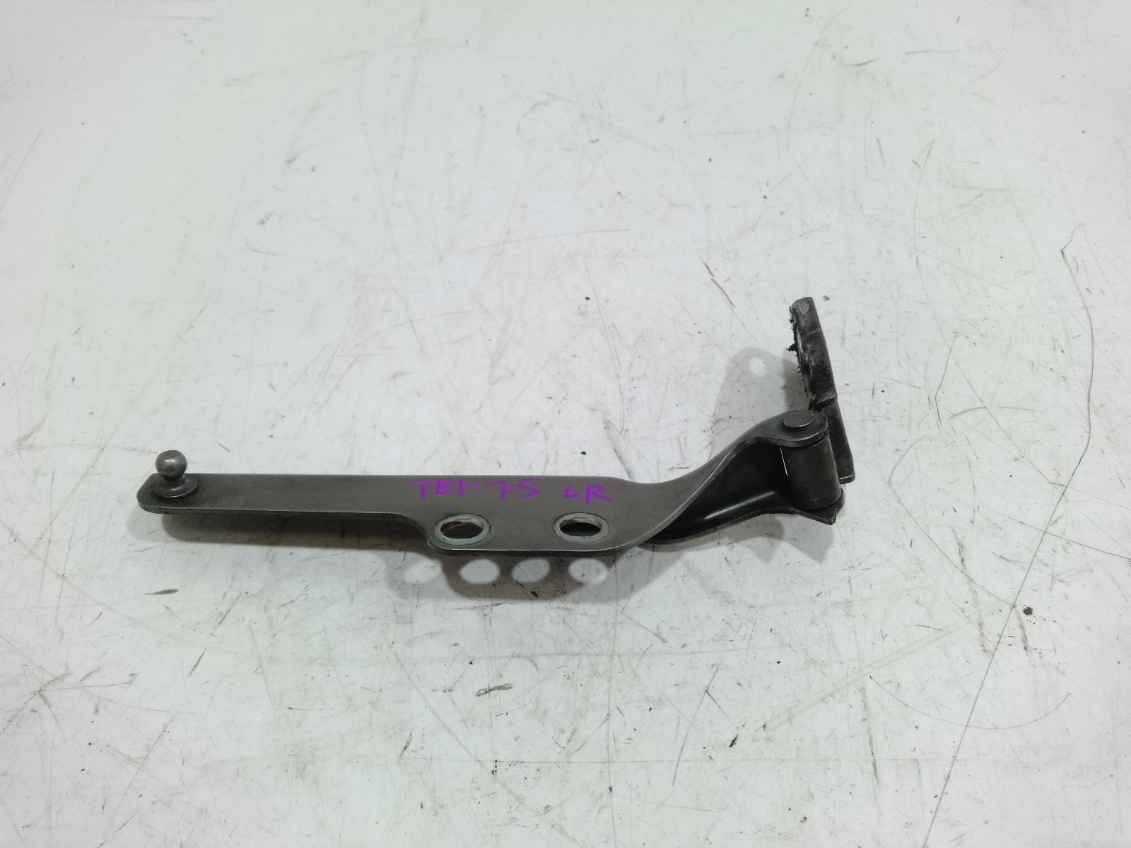 Bootlid_Tgate_Hinge