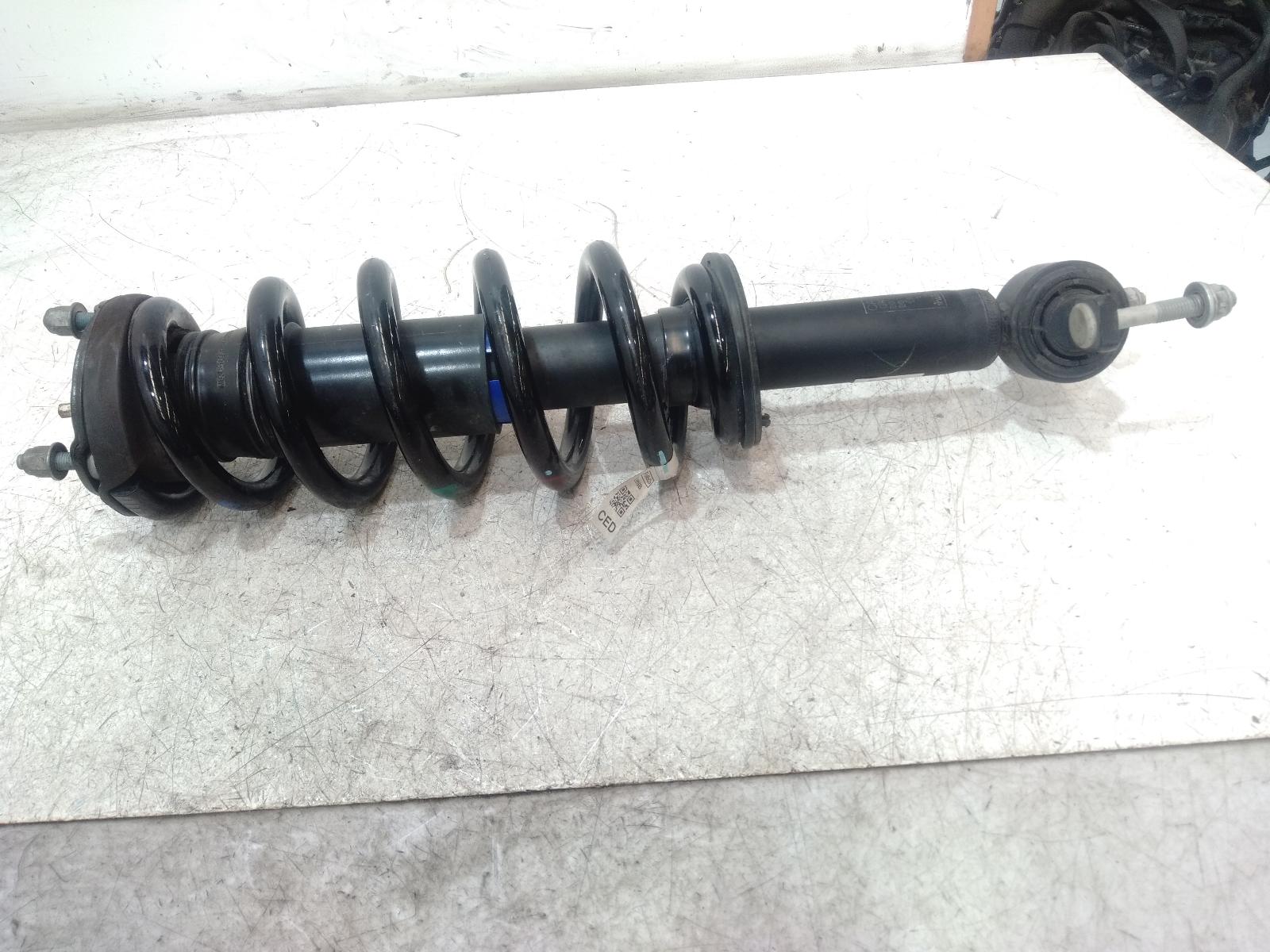 Left Front Strut