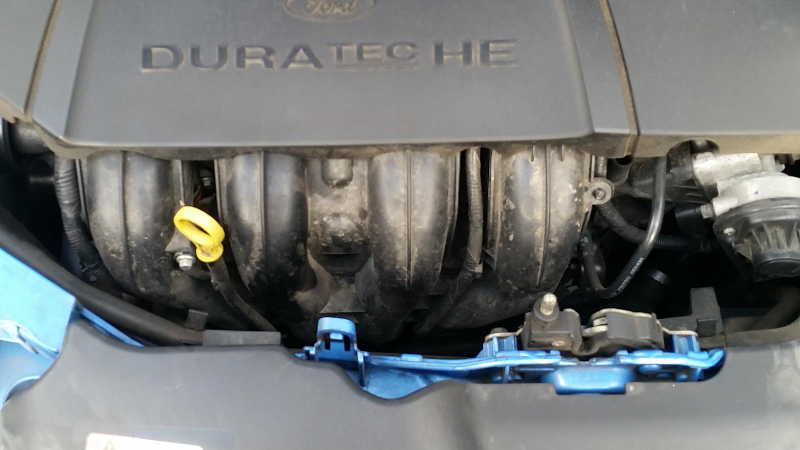 Ford Focus - LT-LV 2008-2011