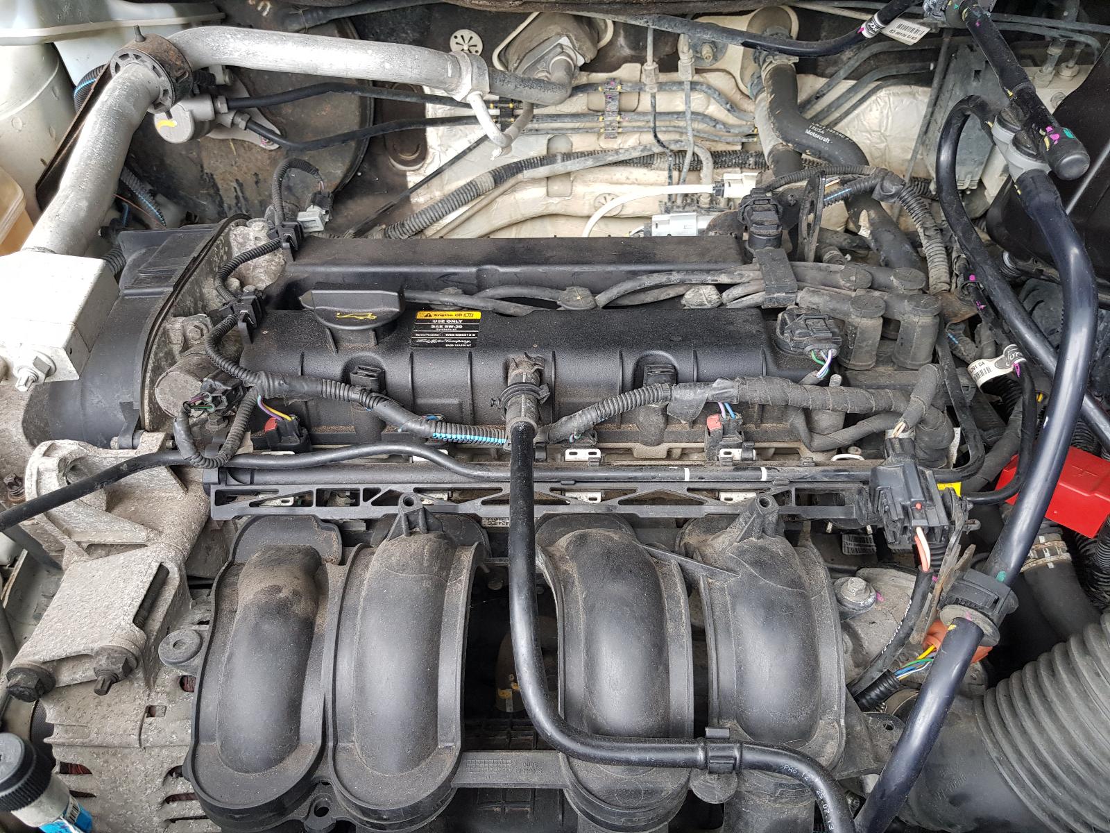 Ford EcoSport - BW 2013-present