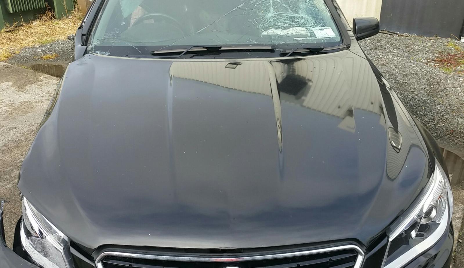 Holden Commodore - VF 2013-Present