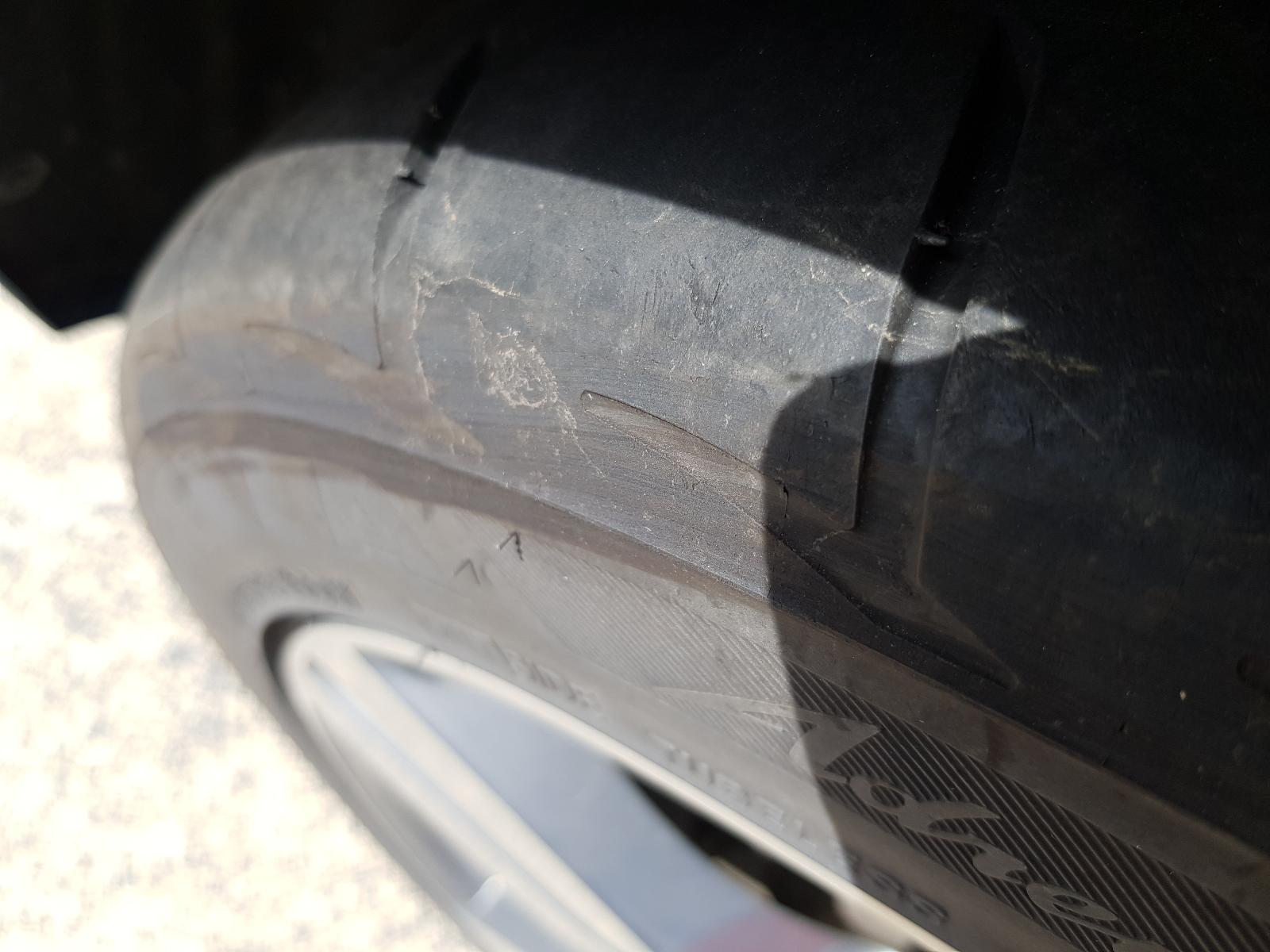 Holden Commodore - VF 2013-Present