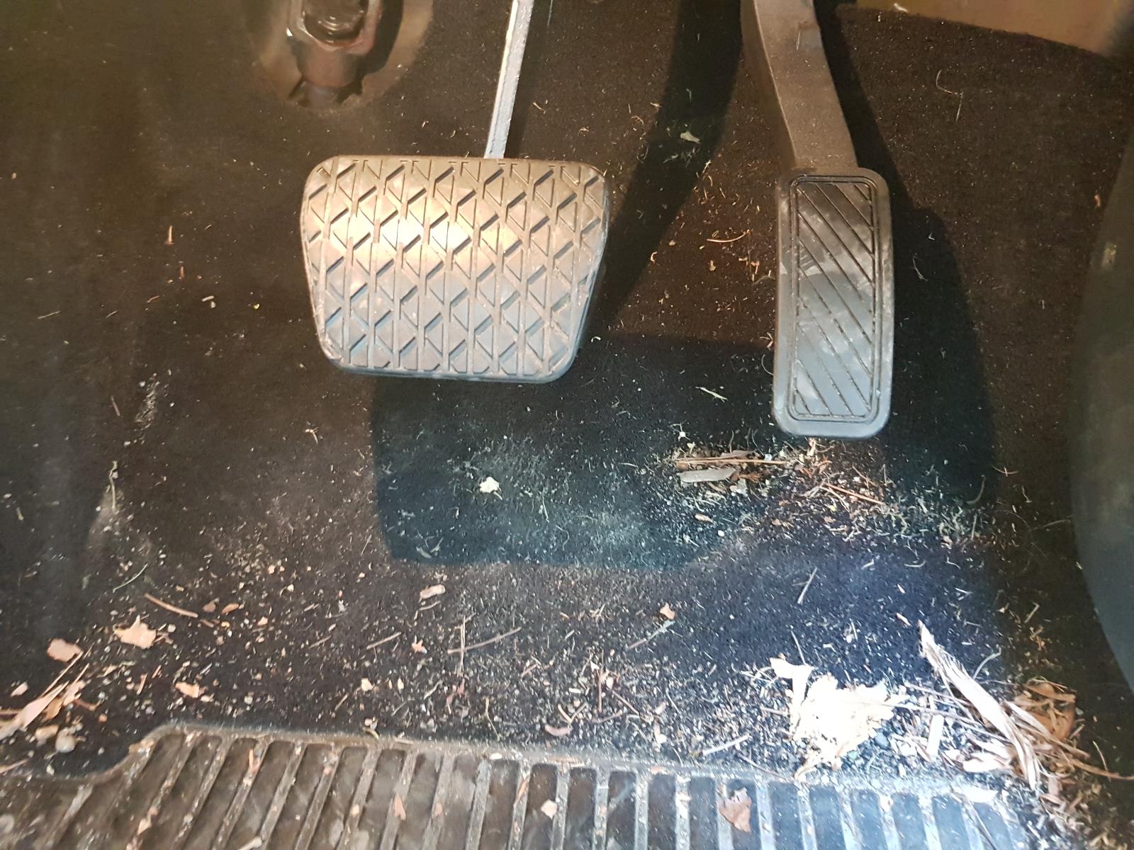 Ford Fiesta - WZ 2013-Present