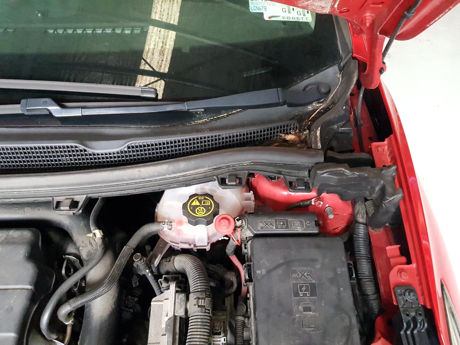 Holden Astra - J 2009-Present