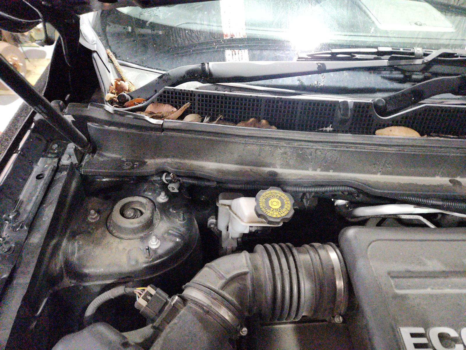 Holden Captiva - Captiva 7 2011-Present