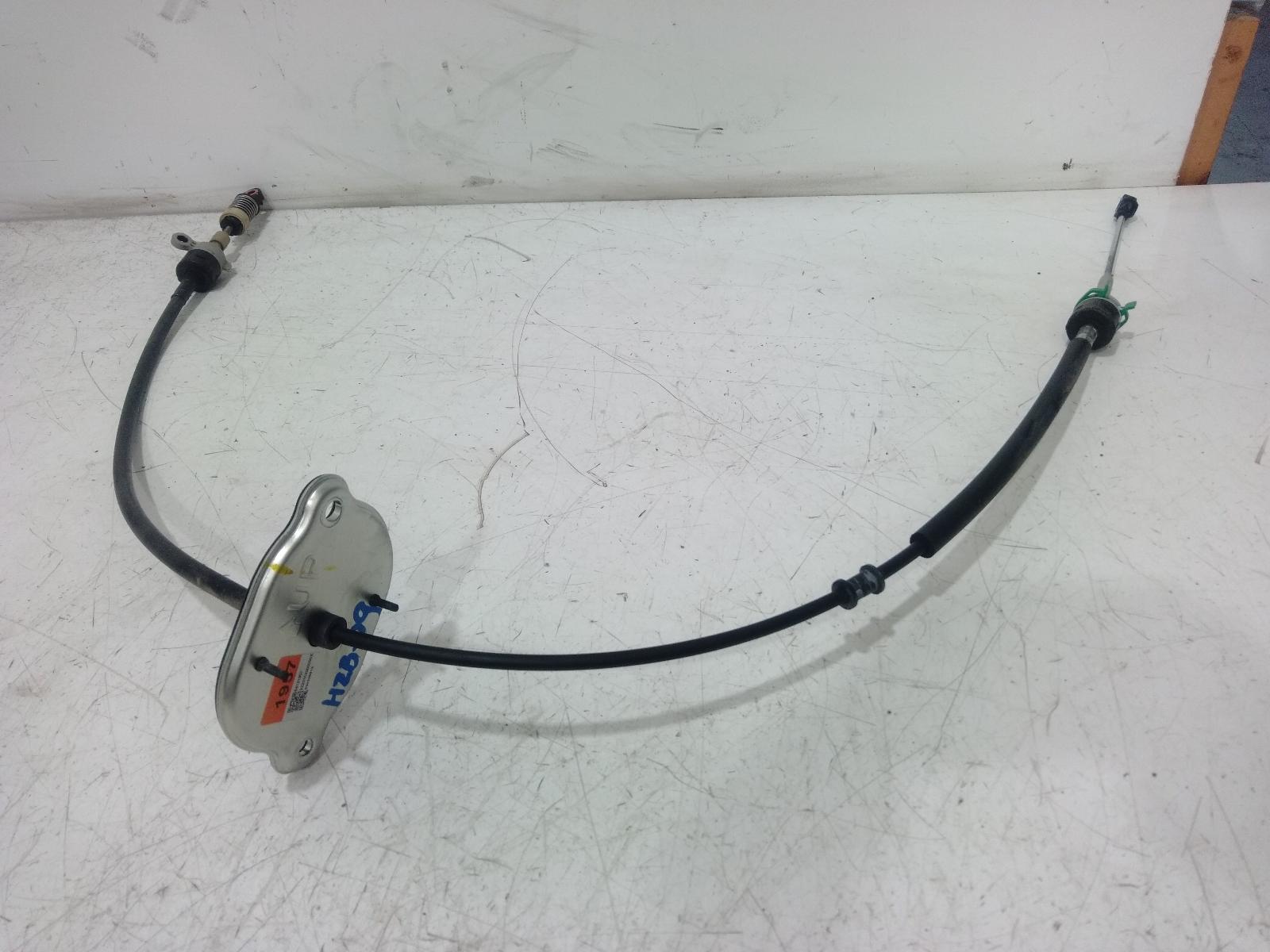 Cable
