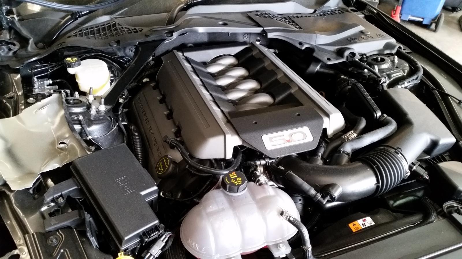 Ford Mustang - All series