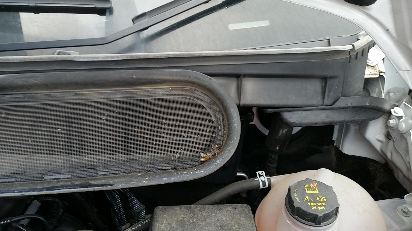 Ford Transit - Other