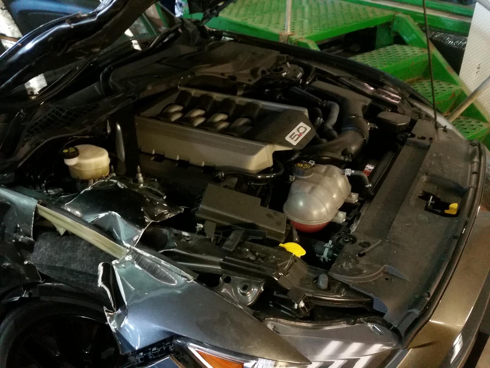 Ford Mustang - All series