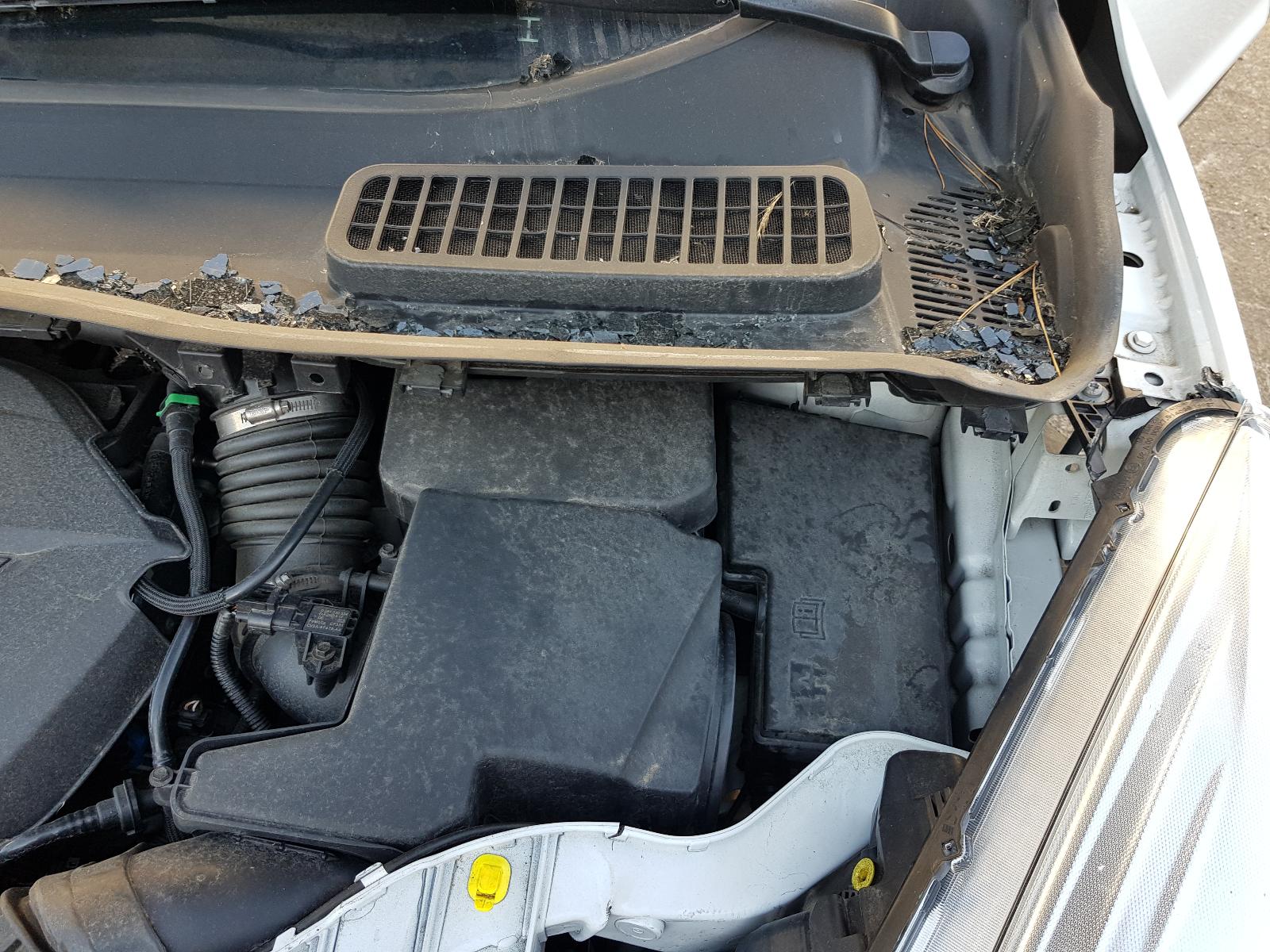 Ford Kuga - TF 2013-Present