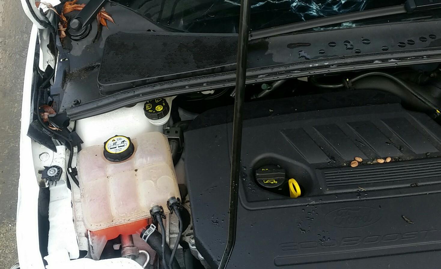 Ford Focus - LZ 2015-2017