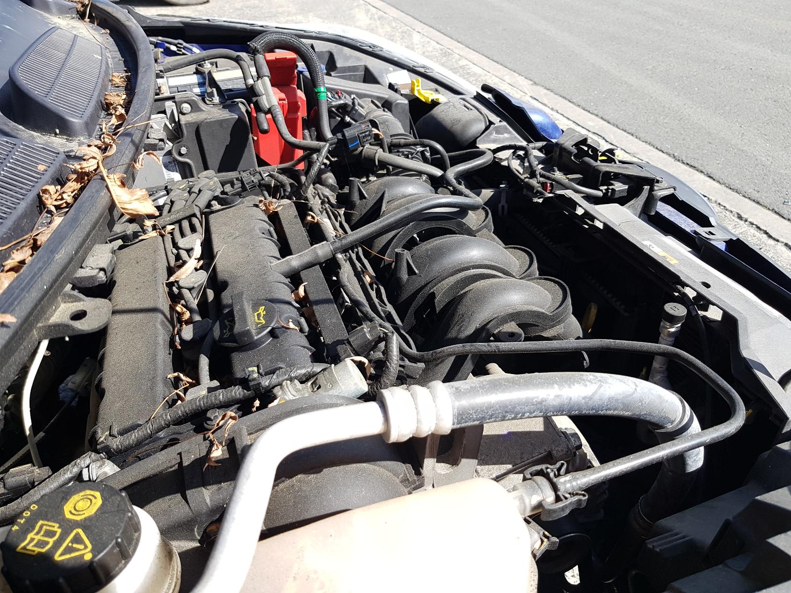 Ford Fiesta - WZ 2013-Present