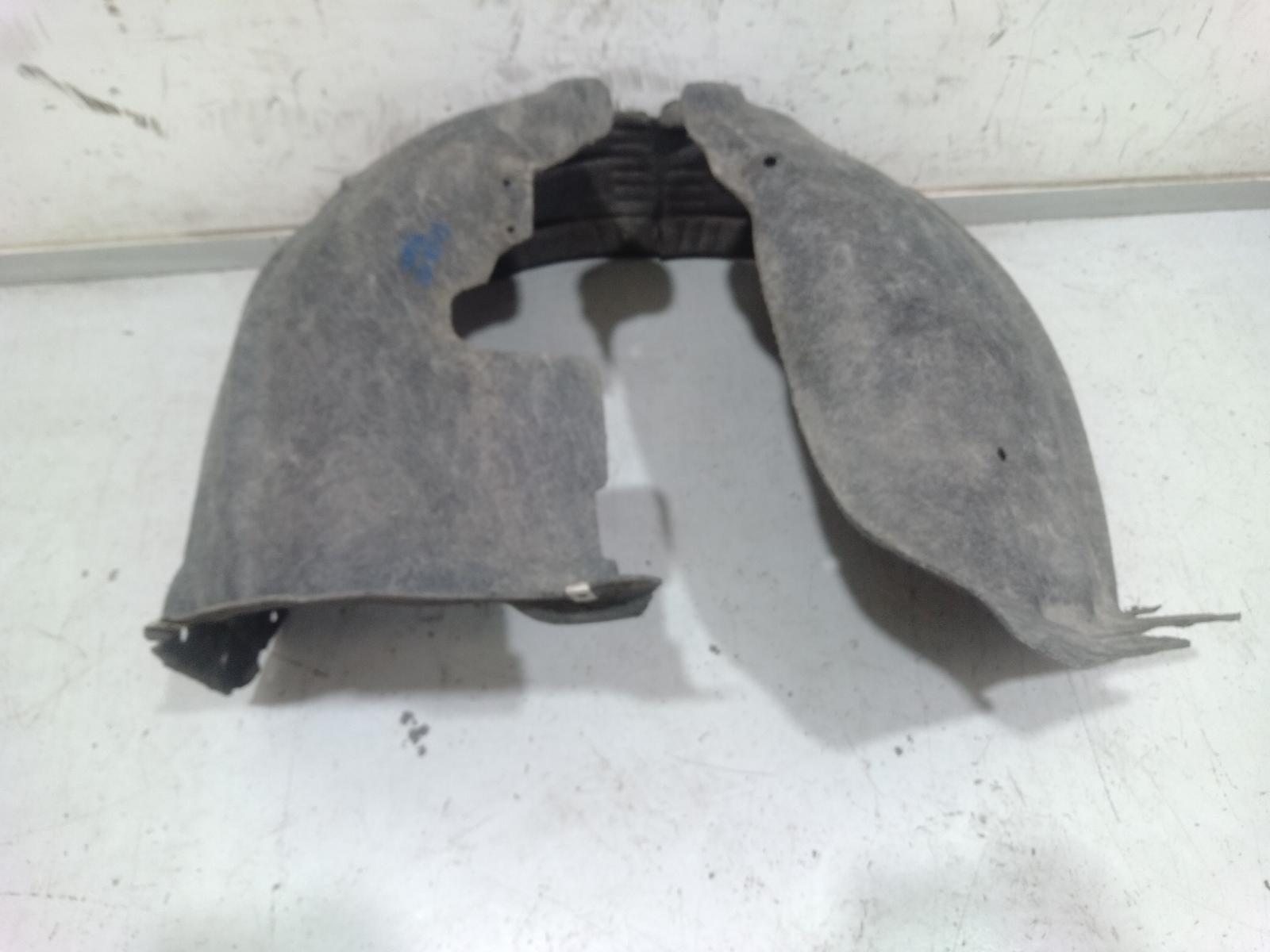 Right Guard Liner