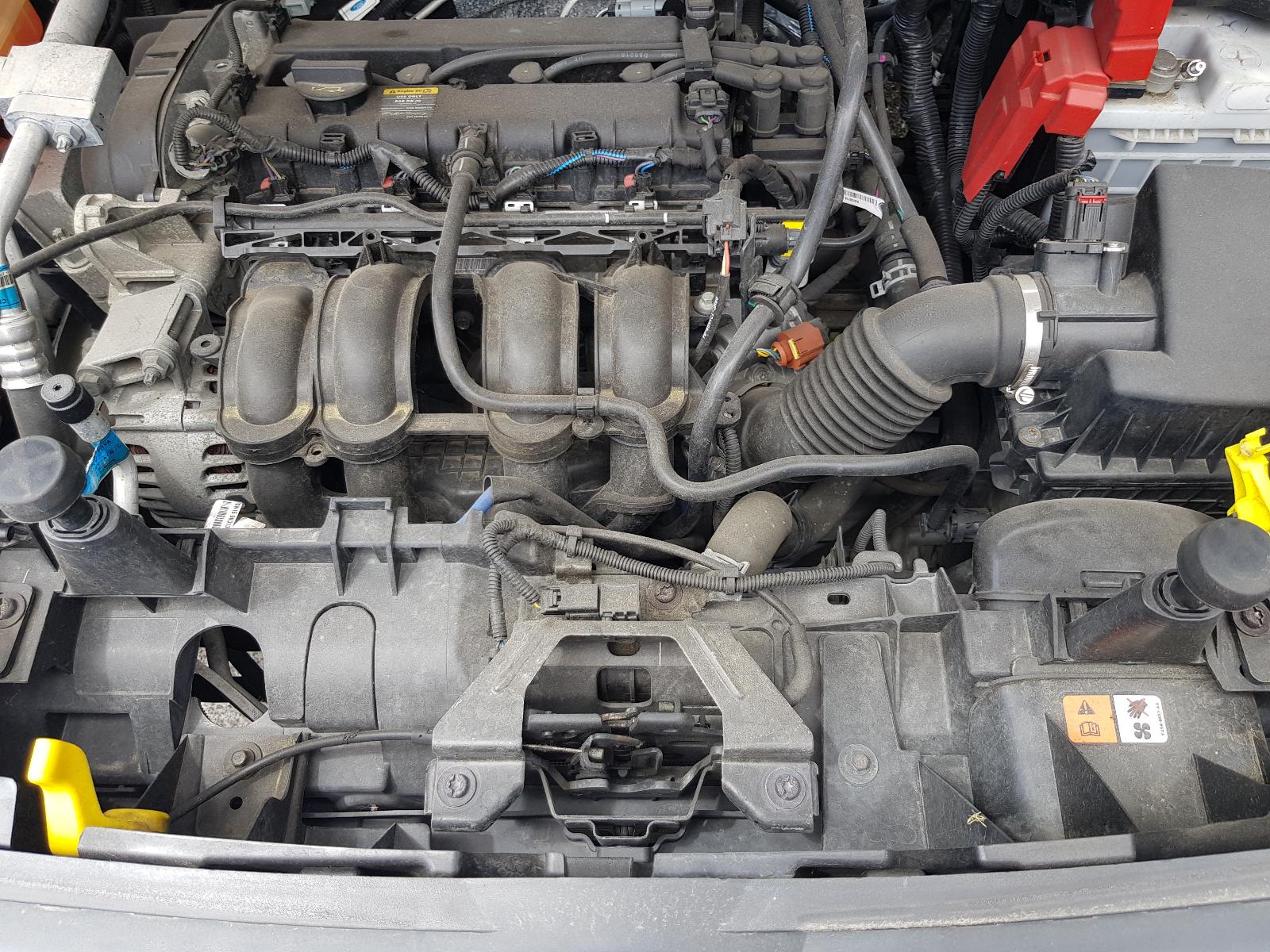 Ford EcoSport - BW 2013-present