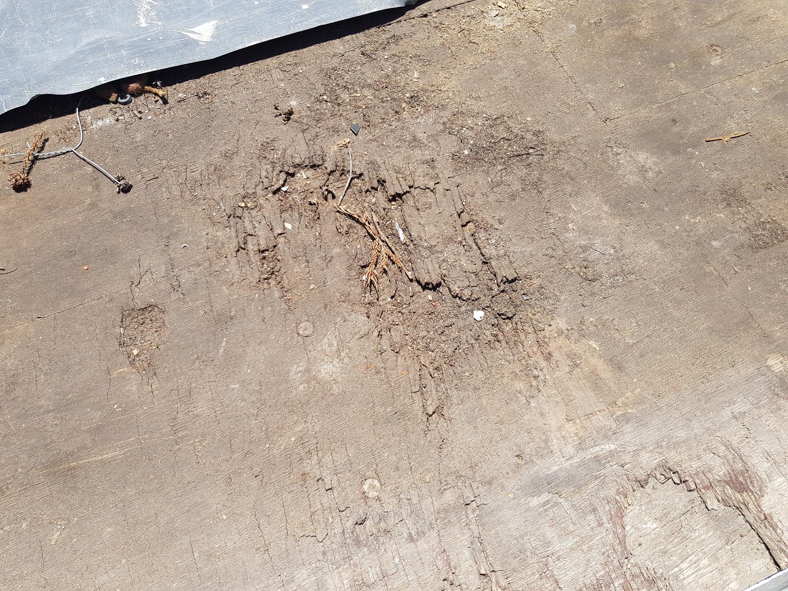 Holden Rodeo - RA 2003-2008