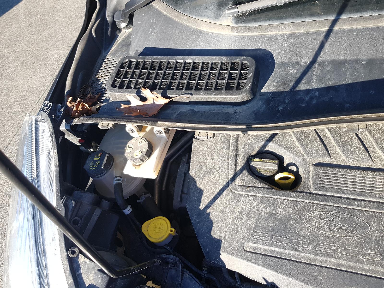 Ford Escape - LF 2007-Present