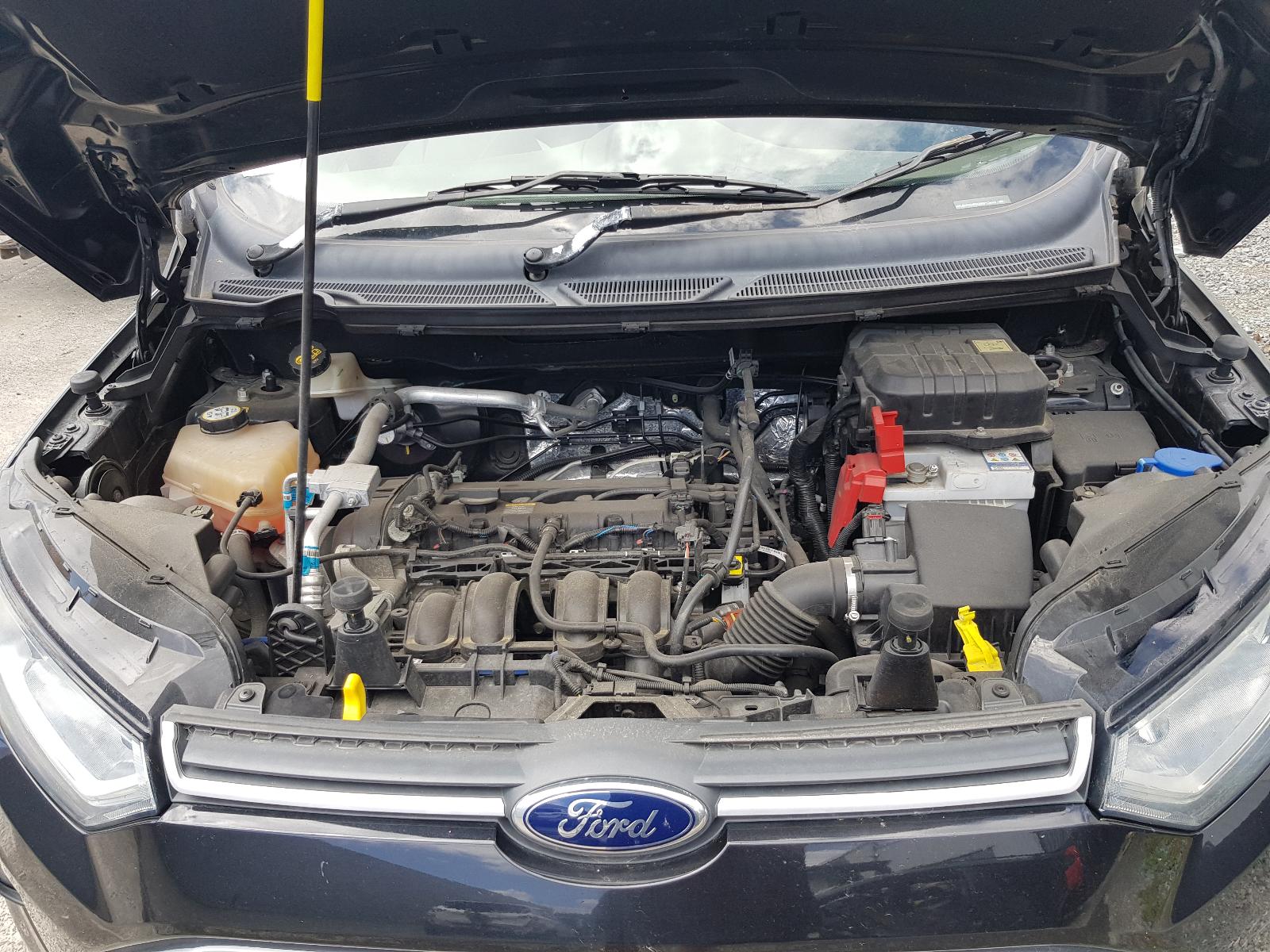 Ford EcoSport - BW 2013-present