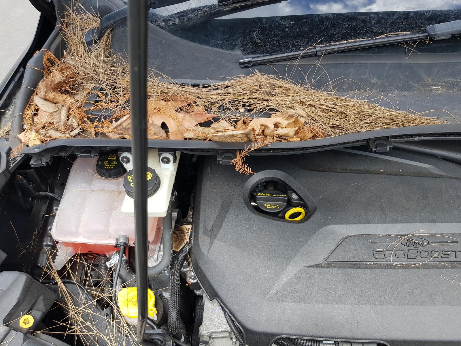 Ford Kuga - TF 2013-Present