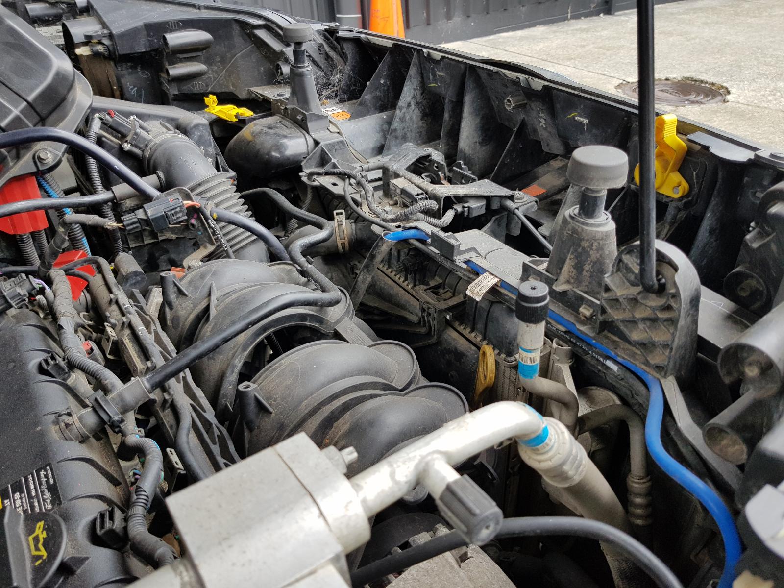 Ford EcoSport - BW 2013-present