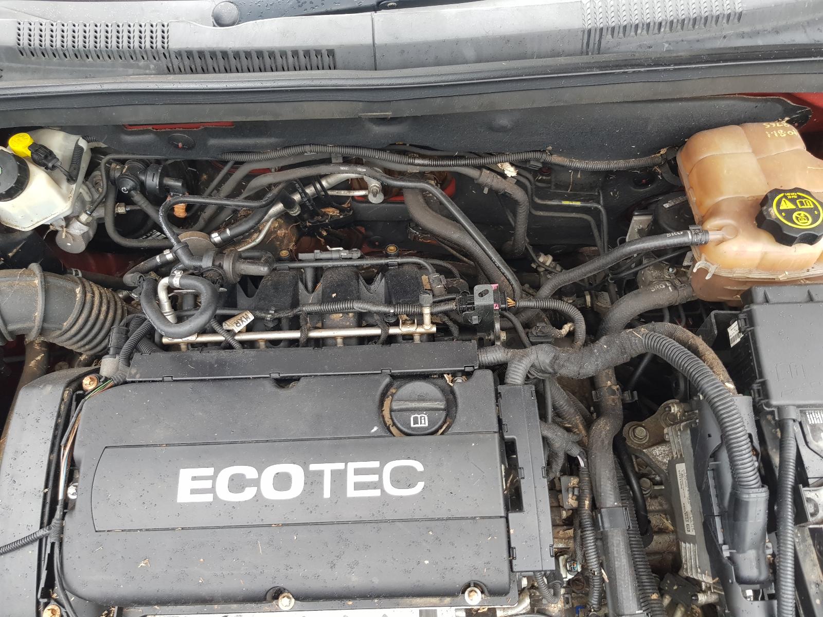 Holden Cruze - 2009-Present