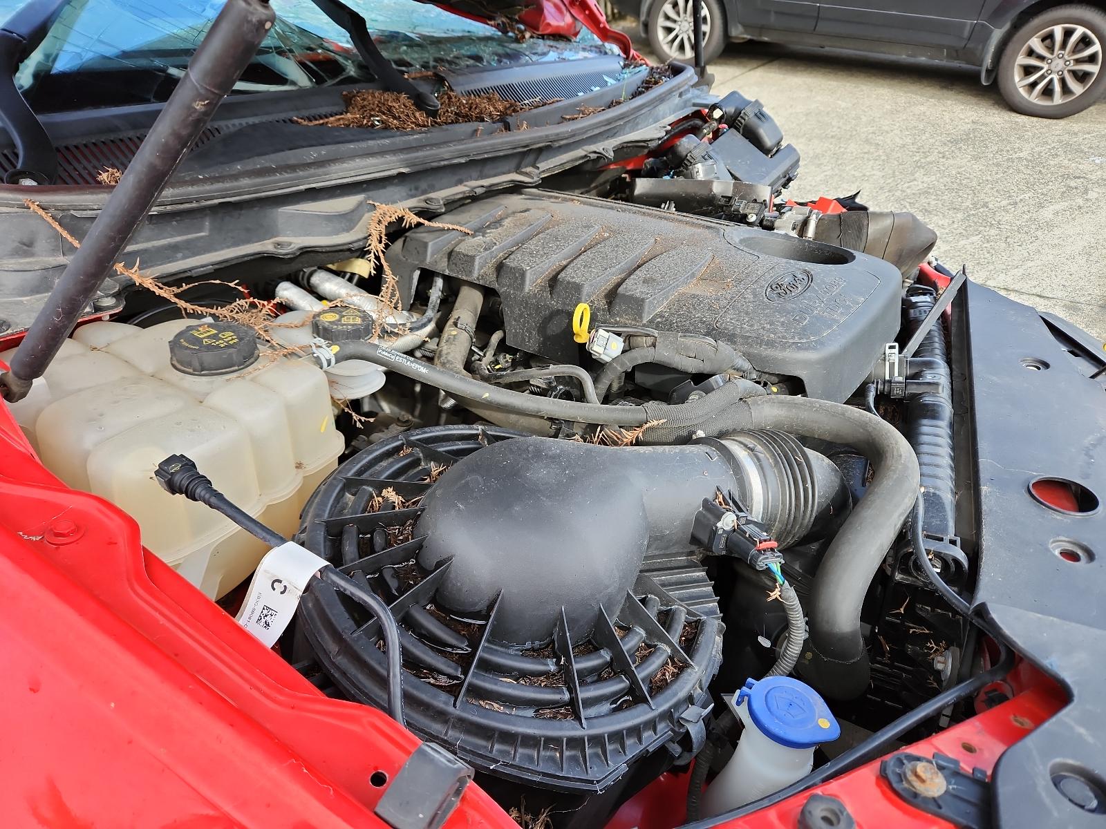 Ford Ranger - PX/PX2 2011-2017