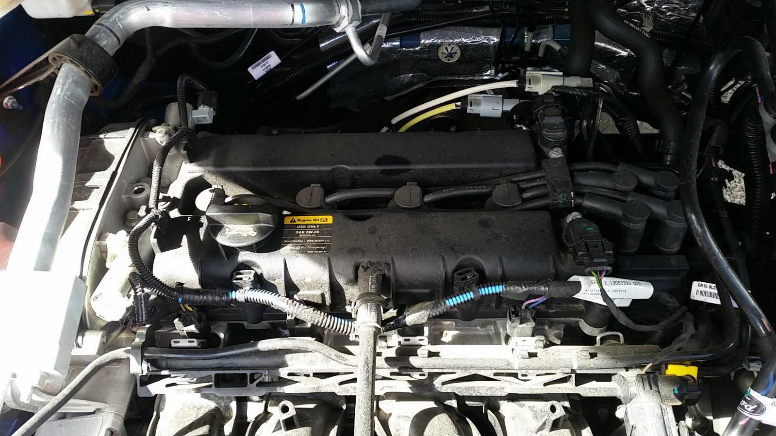 Ford EcoSport - BW 2013-present