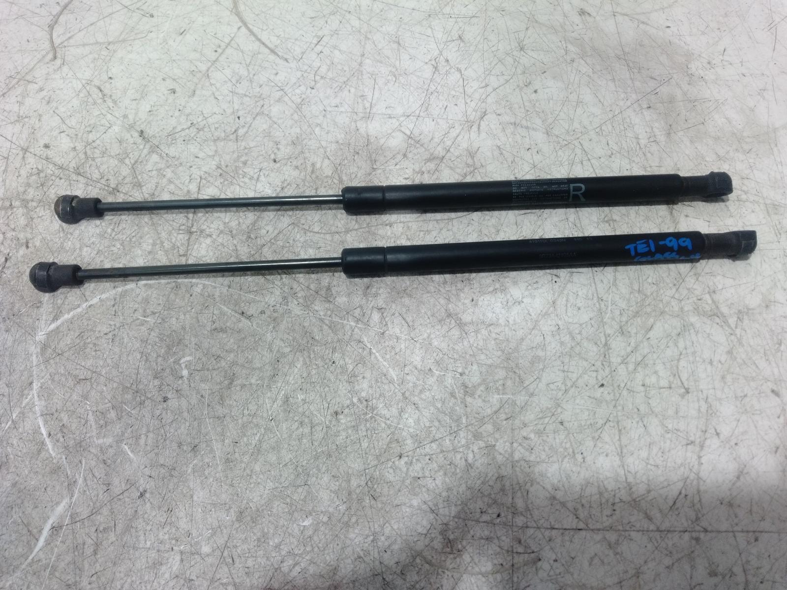 Hatch Strut