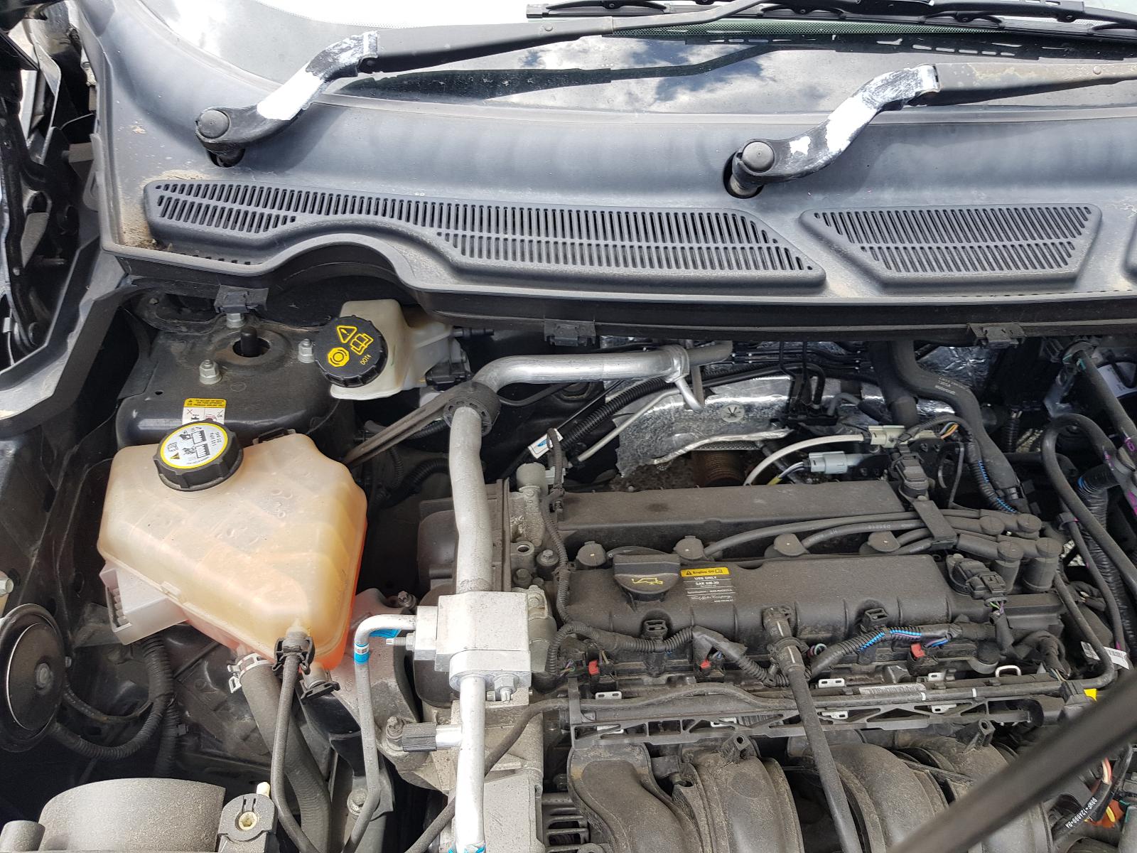 Ford EcoSport - BW 2013-present