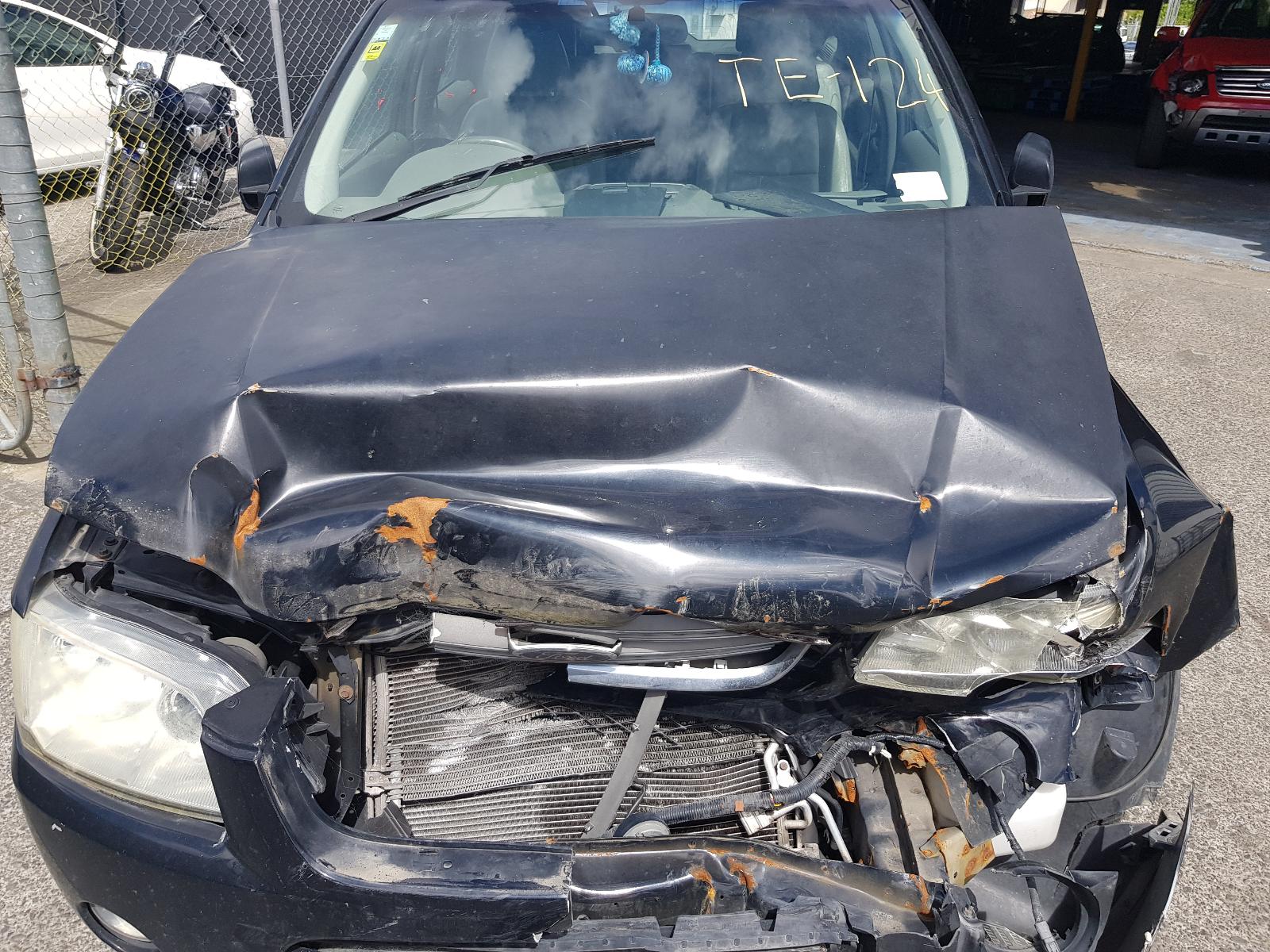 Ford Territory - SX 2004-2005