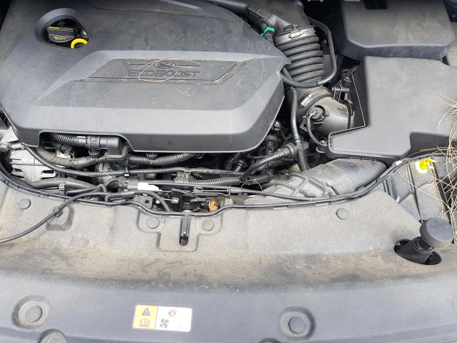 Ford Kuga - TF 2013-Present