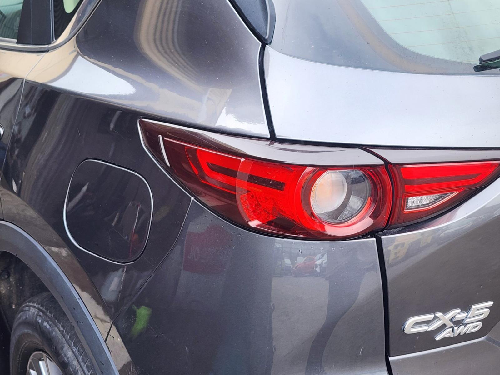 Left Taillight
