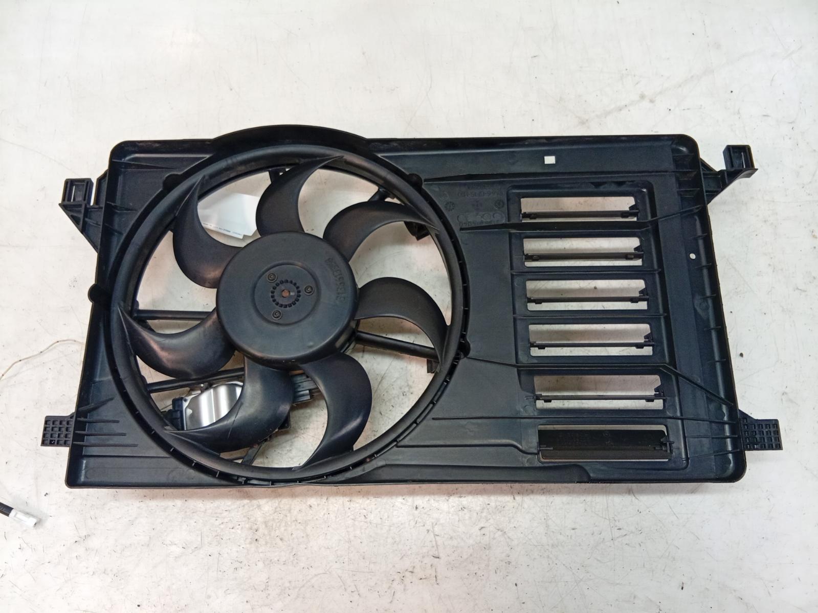 Fan