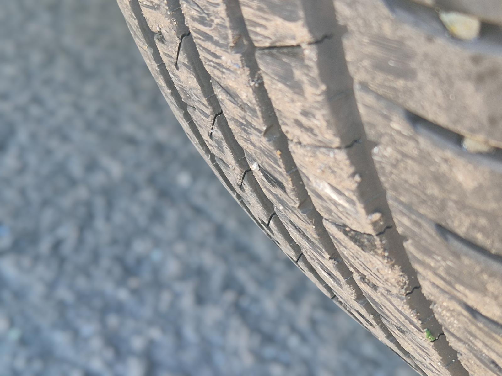 Wheel_Mag