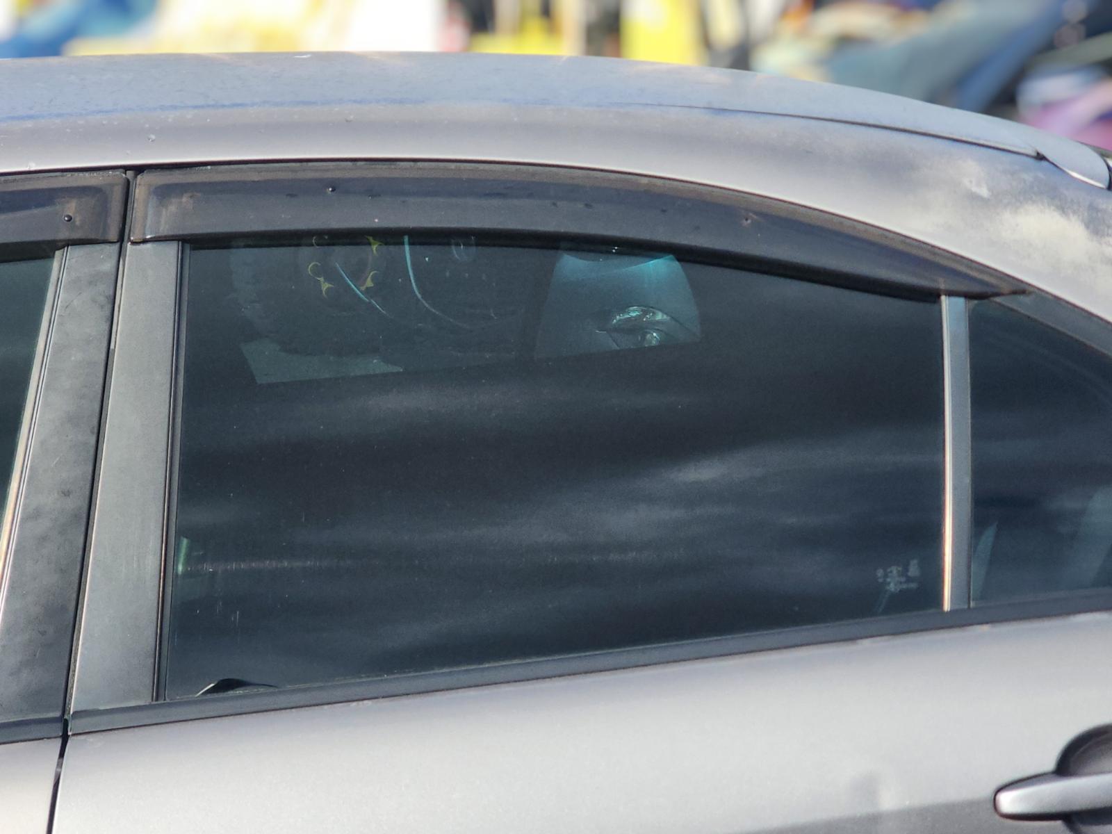 Left_Rear_Door_Window