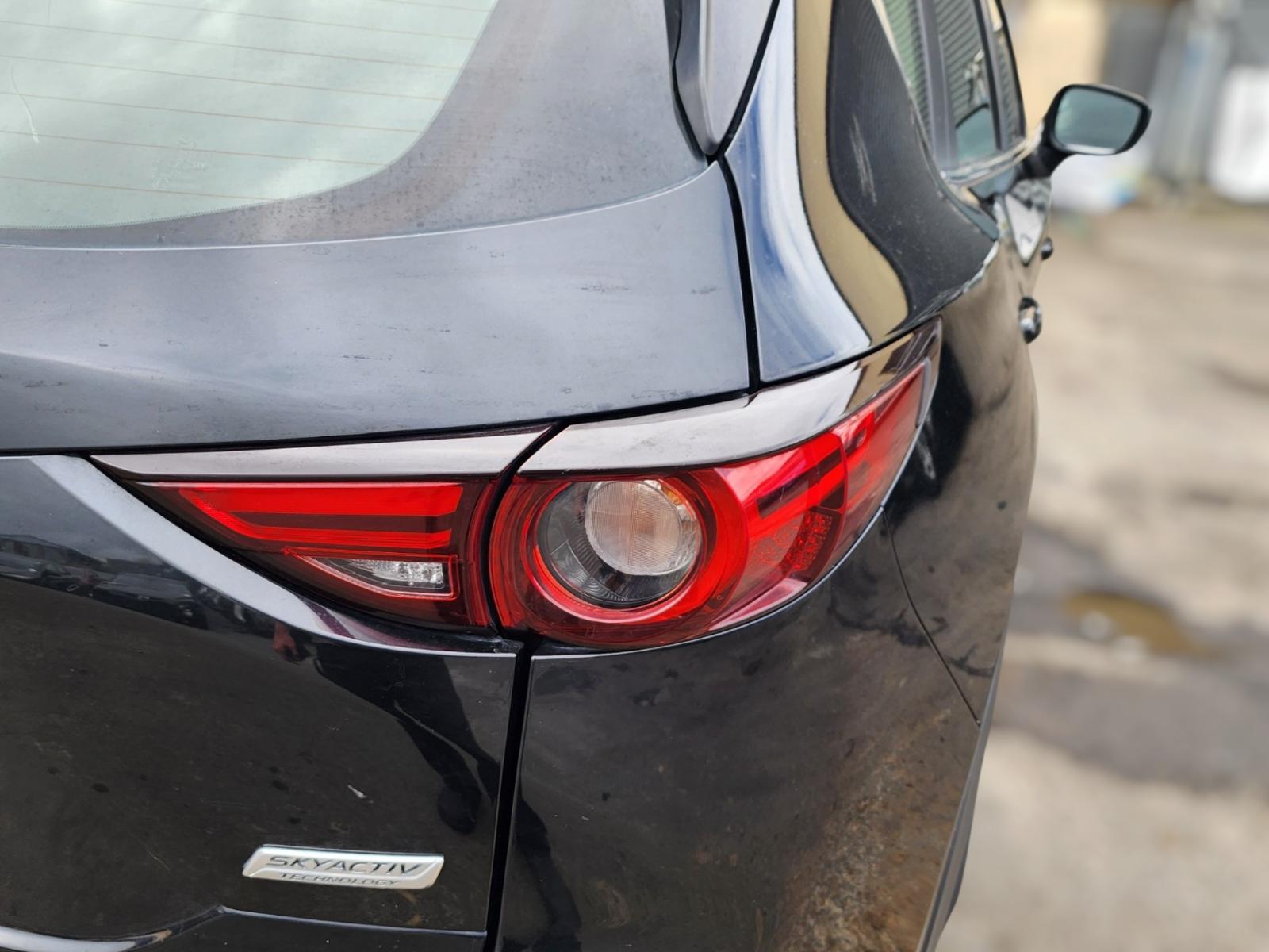 Right Taillight