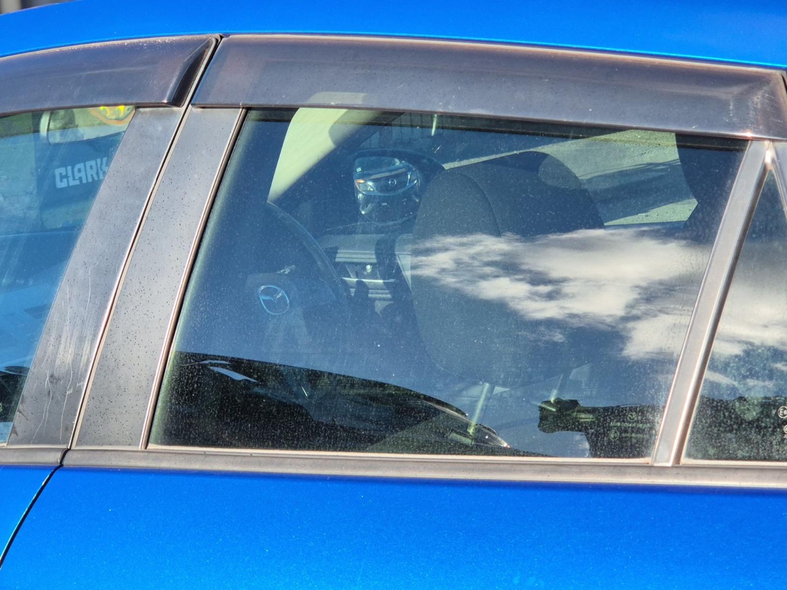 Left_Rear_Door_Window