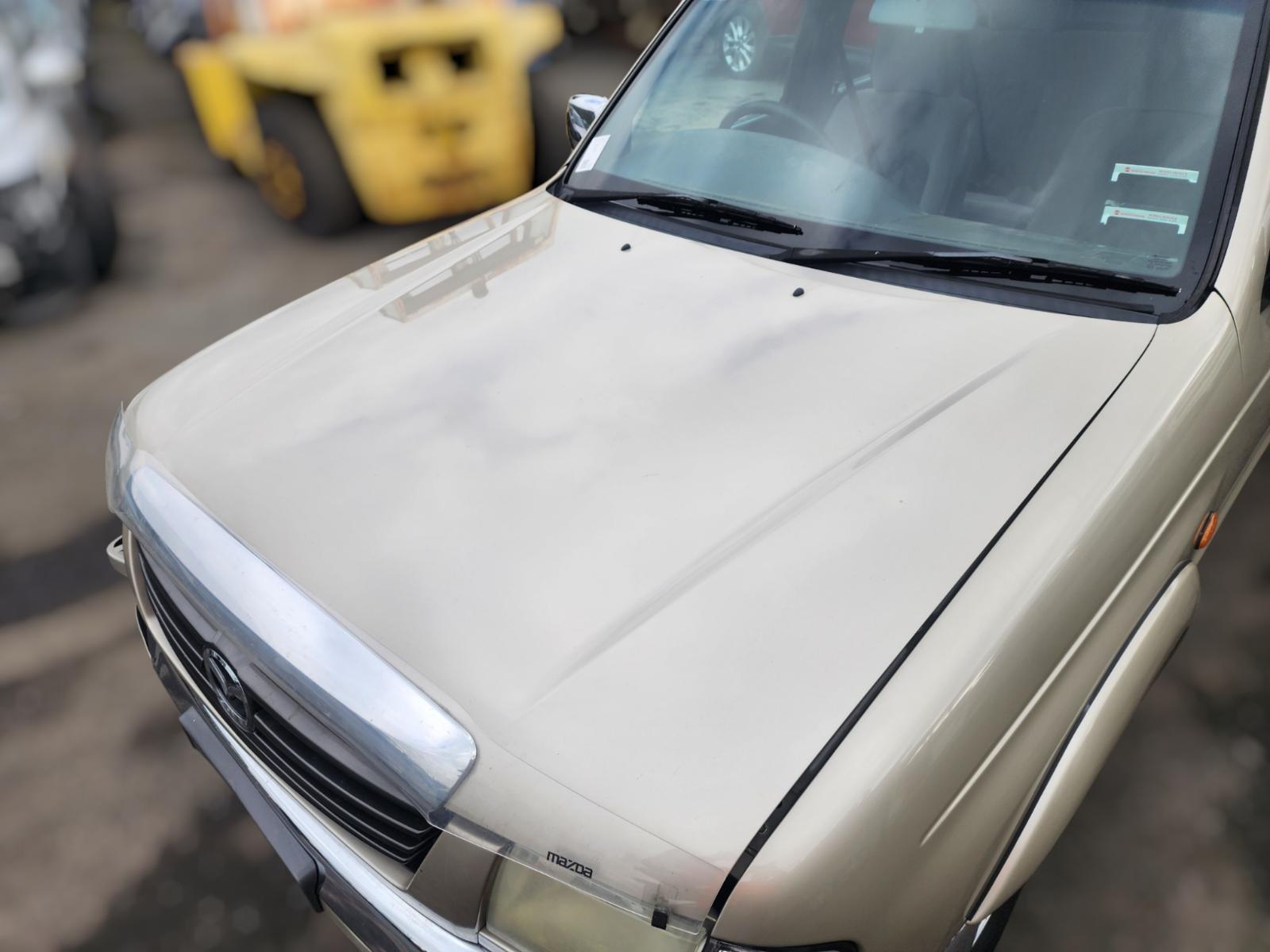 Bonnet