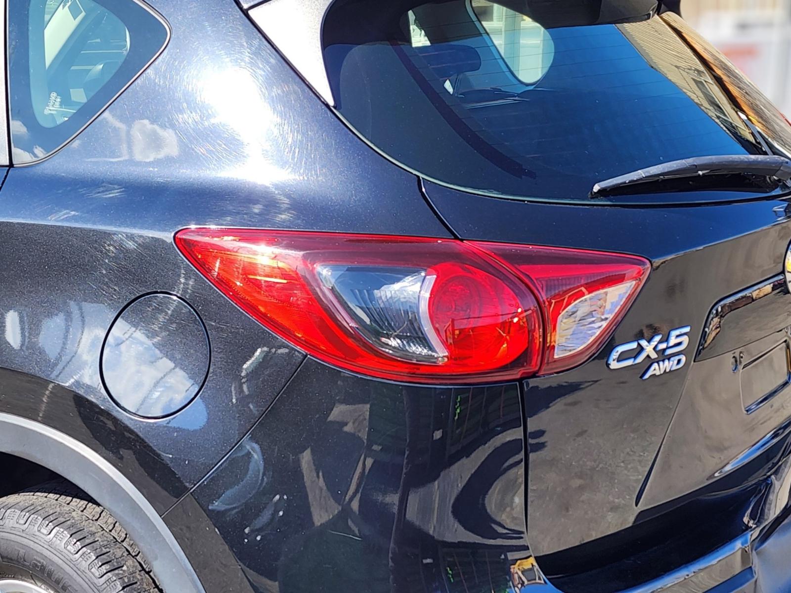 Left Taillight
