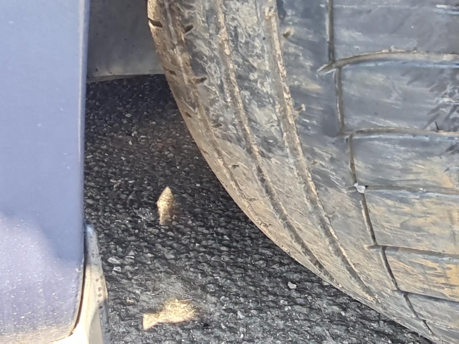 Mazda Axela - BK 2003-2009