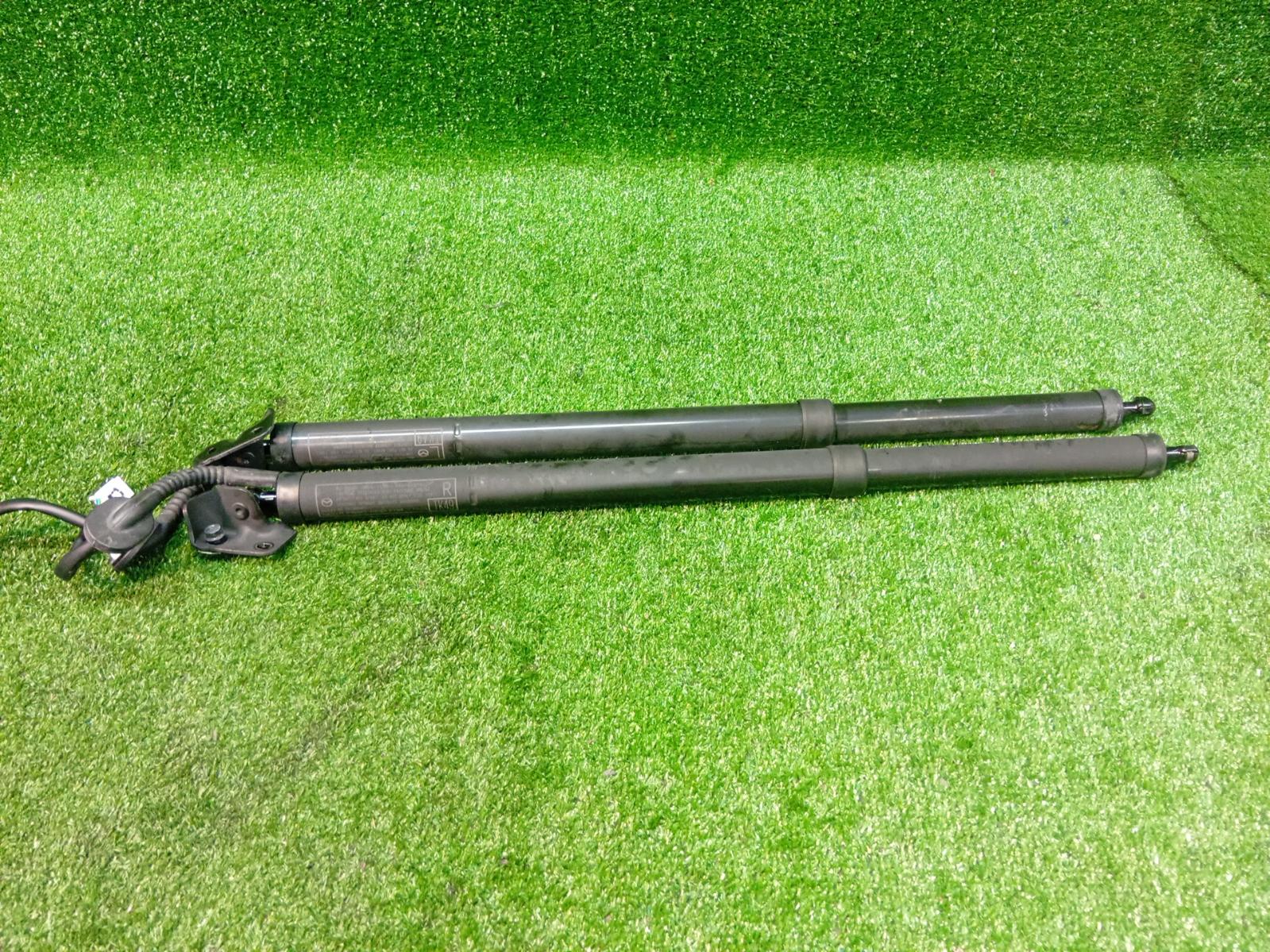 Hatch Strut