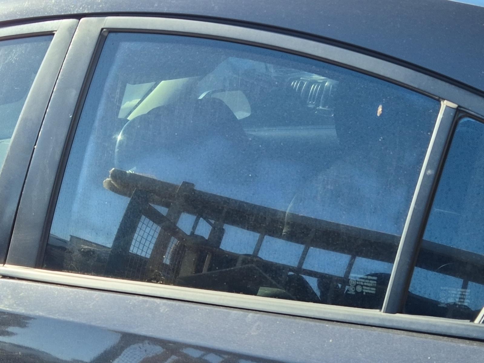 Left_Rear_Door_Window