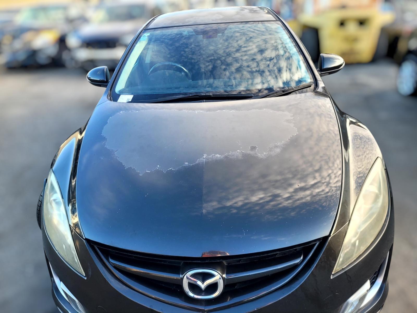 Bonnet