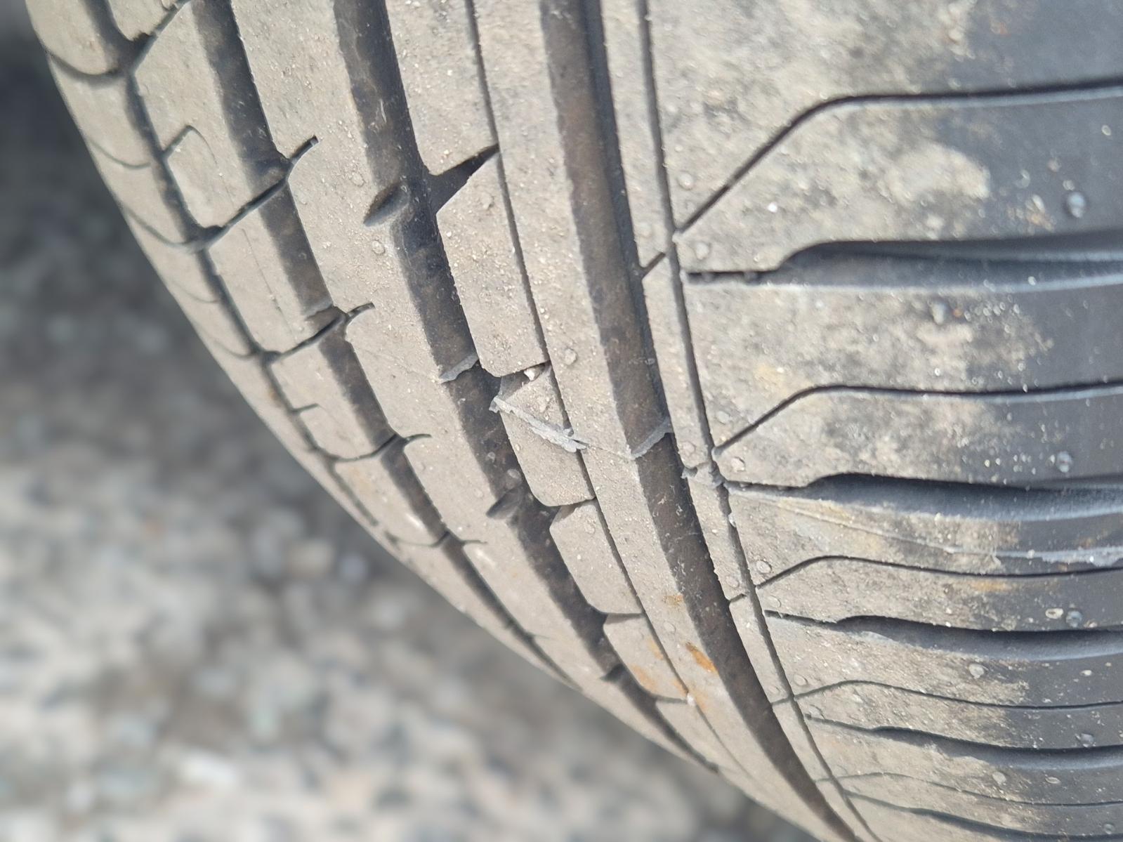 Wheel_Mag