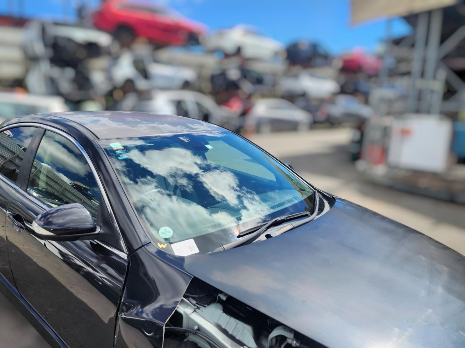 Windscreen