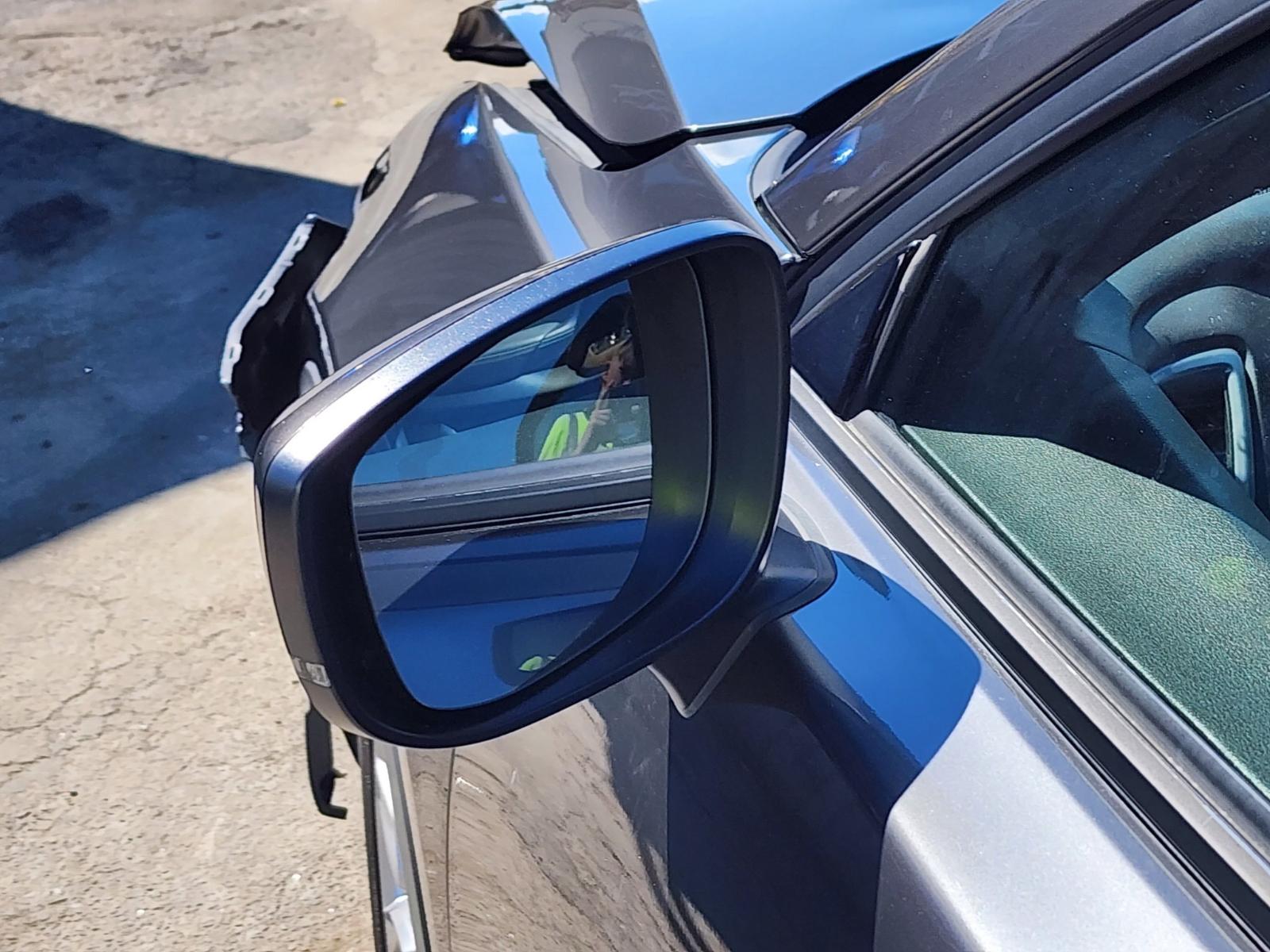 Left Door Mirror