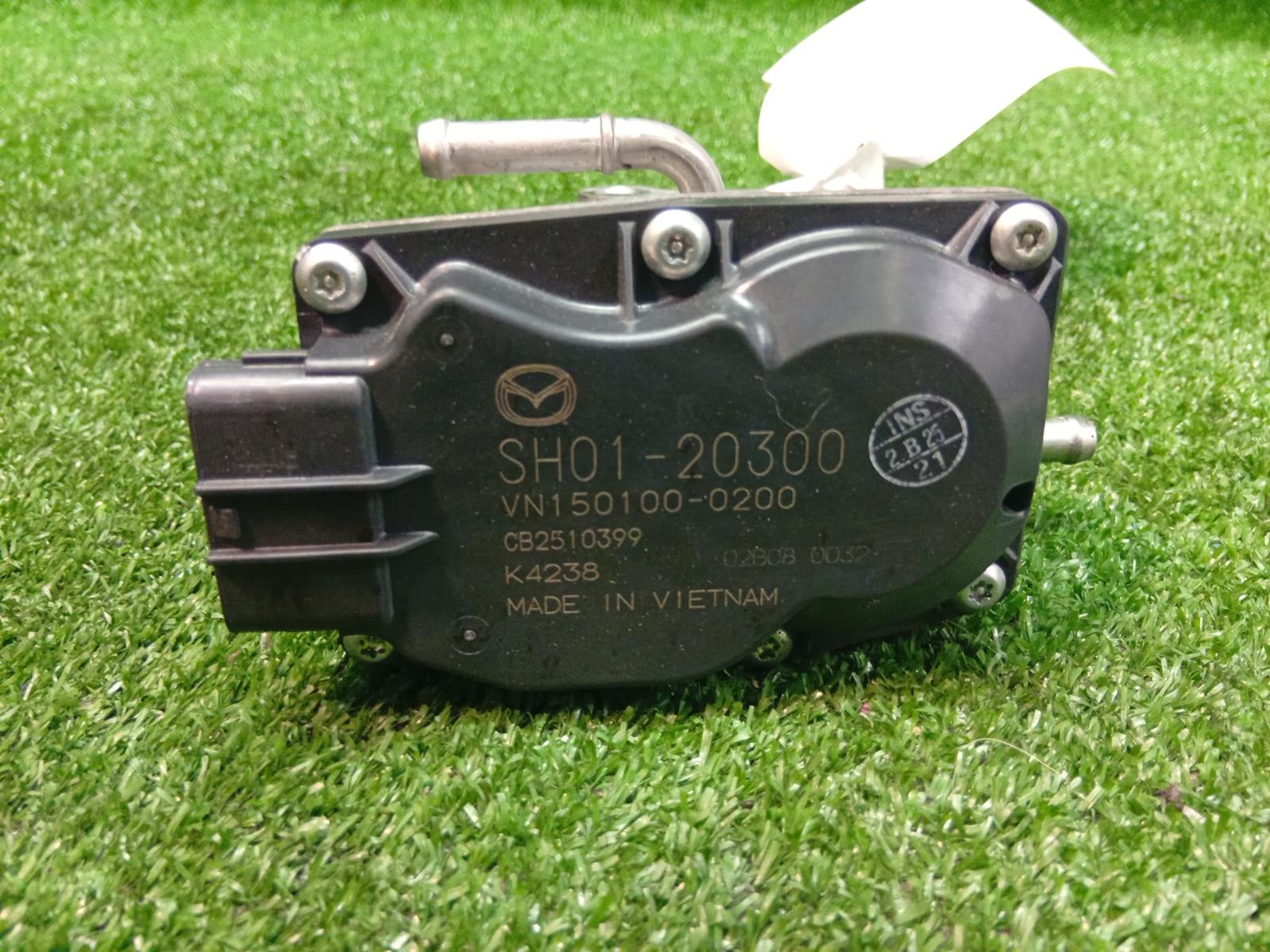 Egr Valve