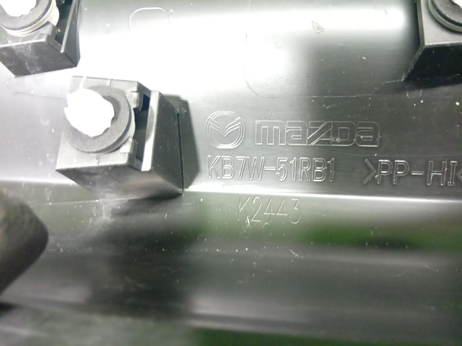 Body Door Mould