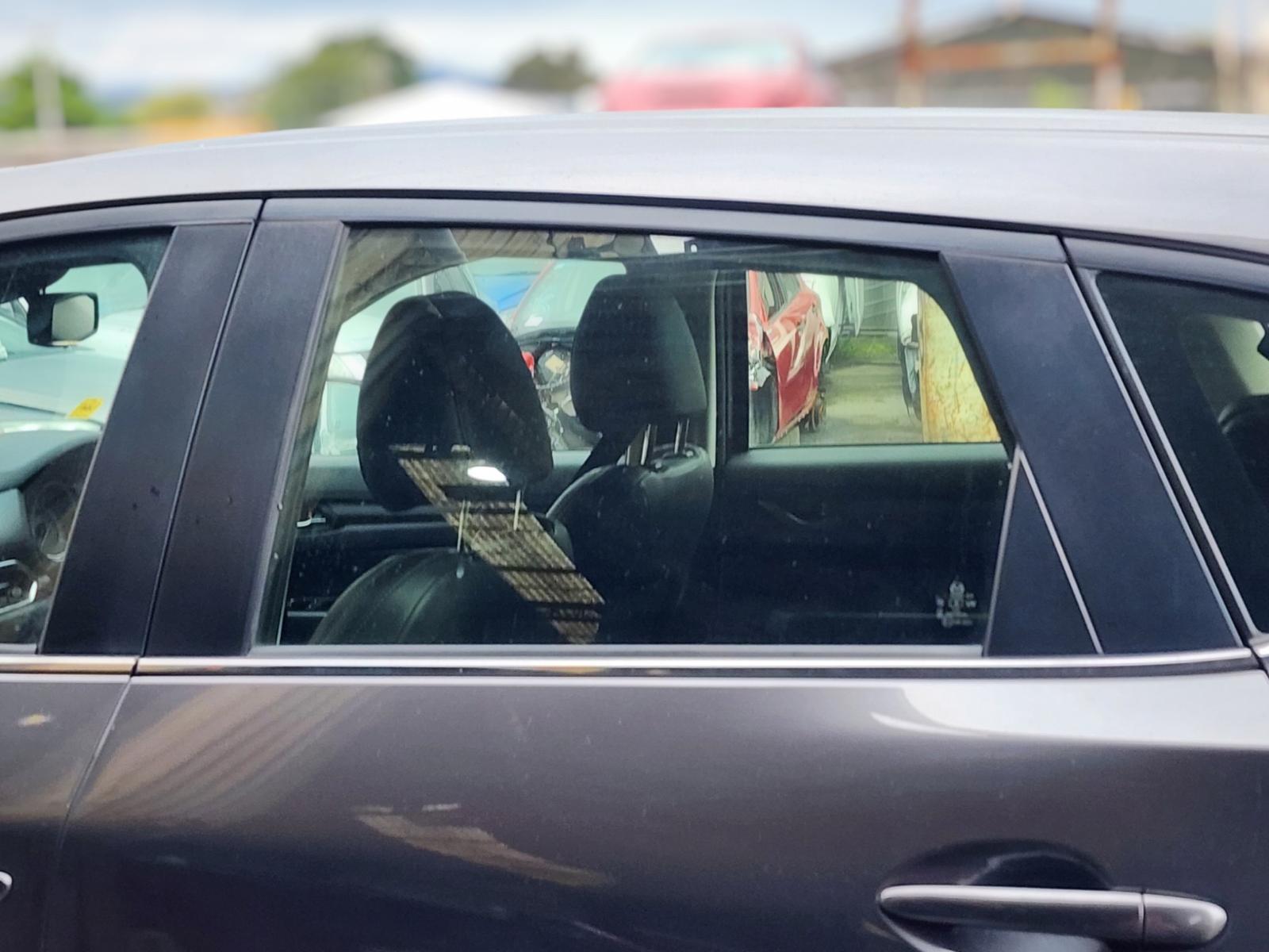 Left Rear Door Window